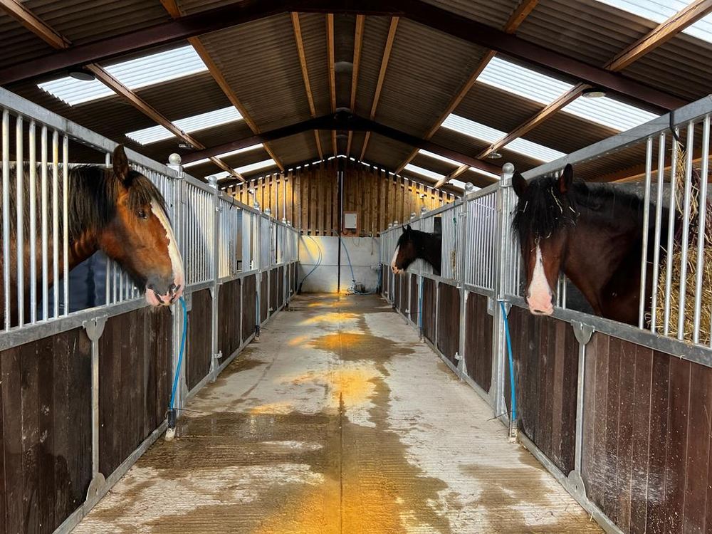 Stable block — interior & concrete floor