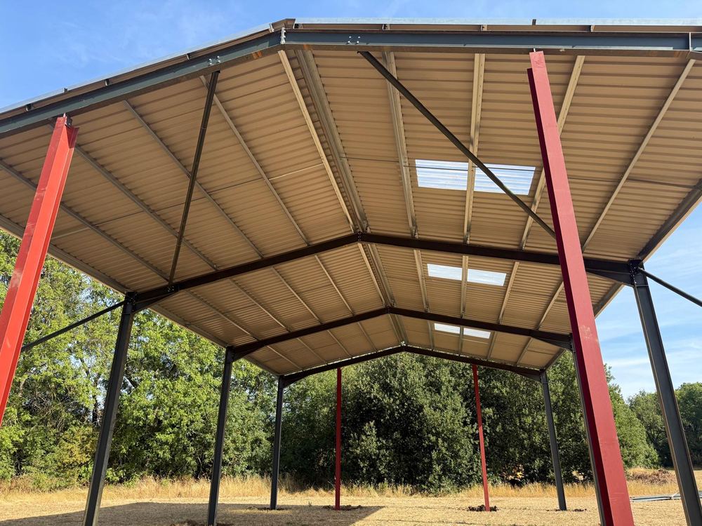 Steel-frame roof structure