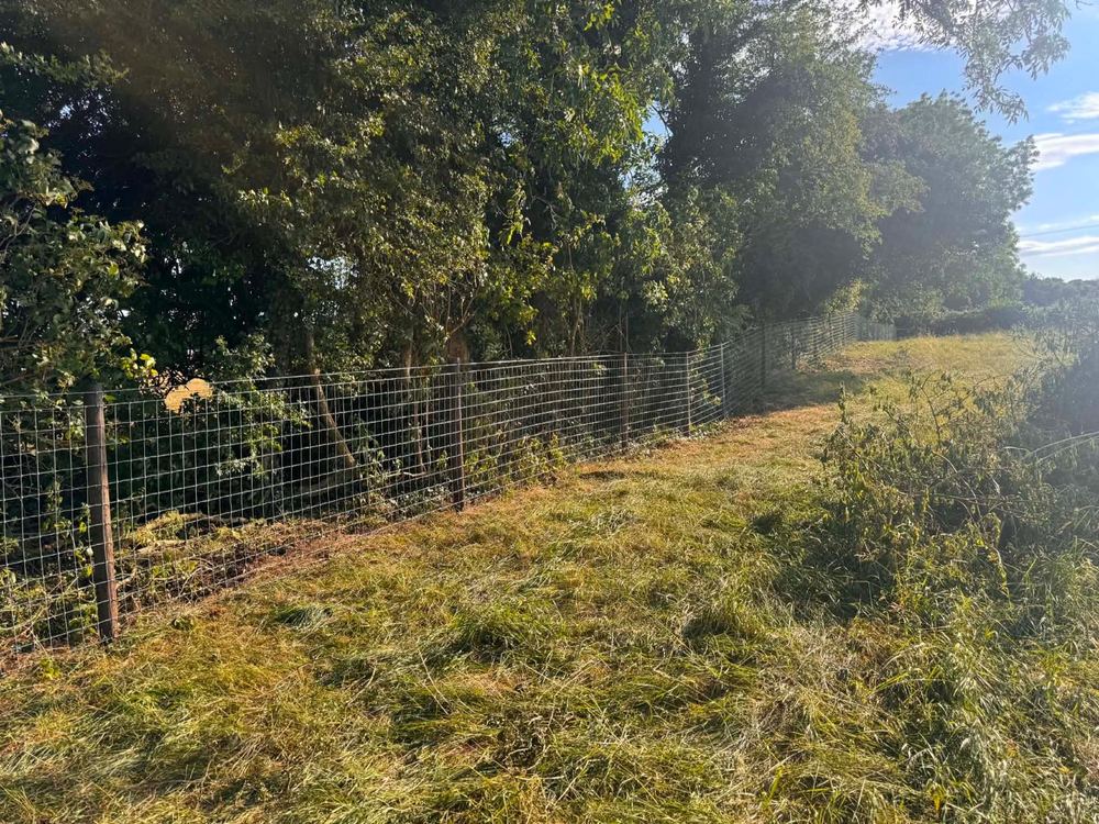 Stock fencing — cleared boundary
