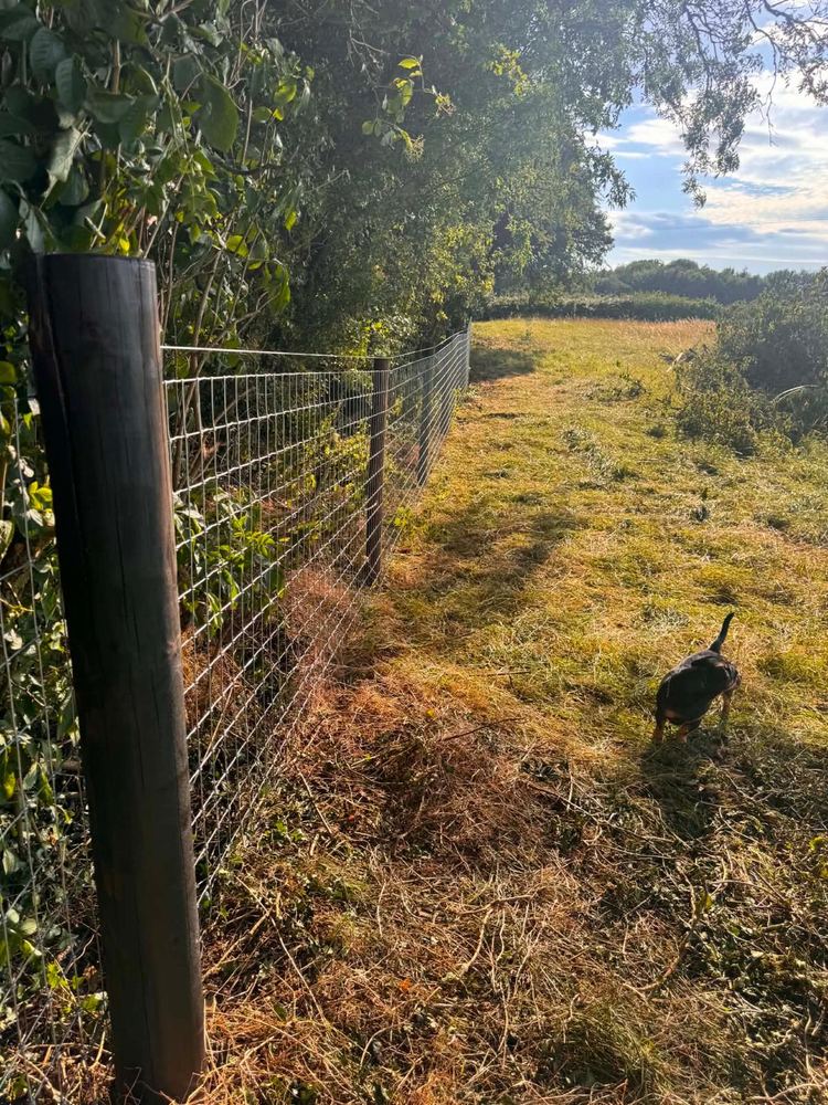 Post & wire stock fencing