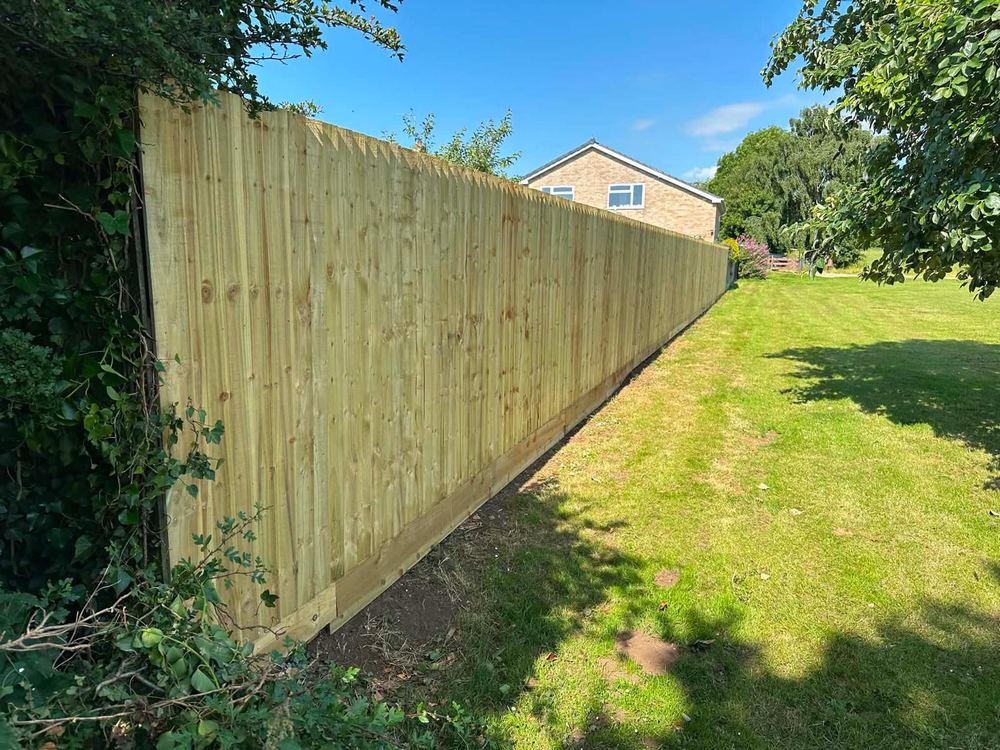 Close-board fence & garden