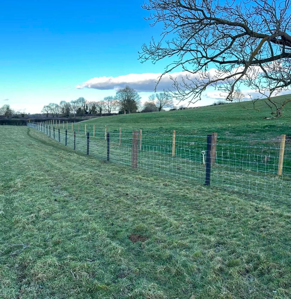 Stock fencing — field boundary