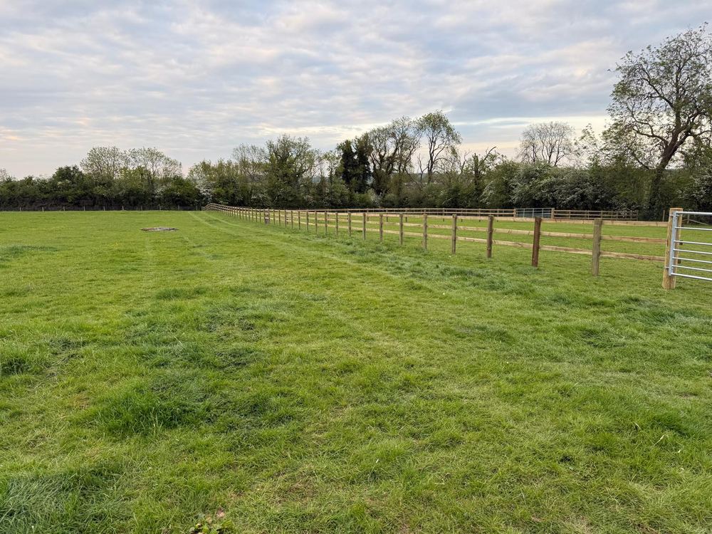 Stock fencing — new run