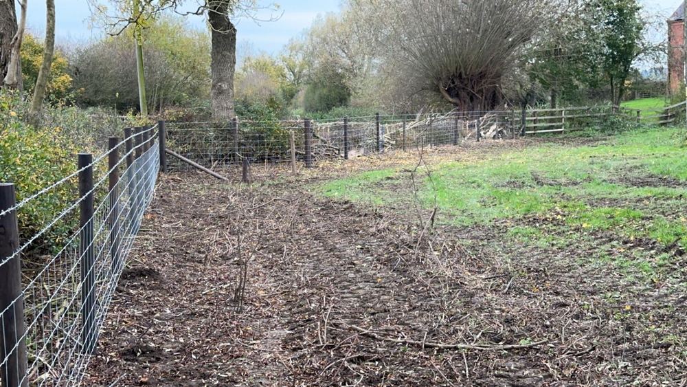 Stock / mesh fencing