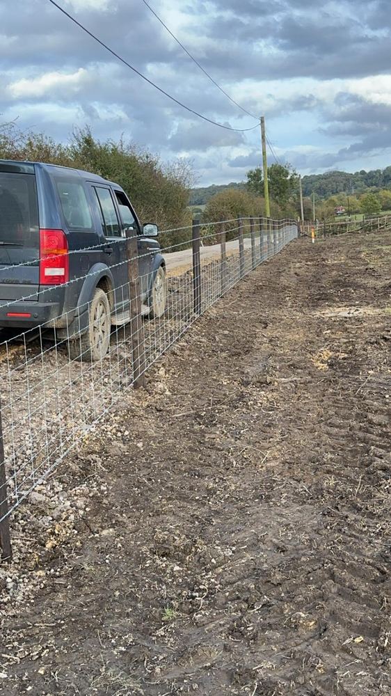 Stock fencing along access track