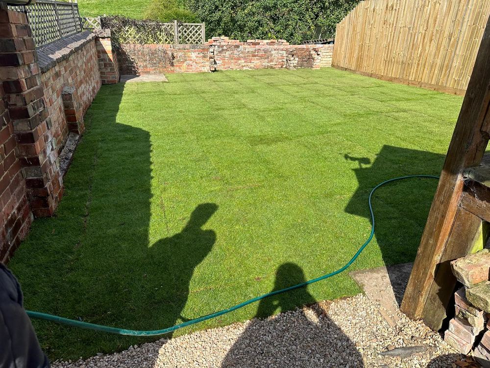 Close-board fence & new lawn