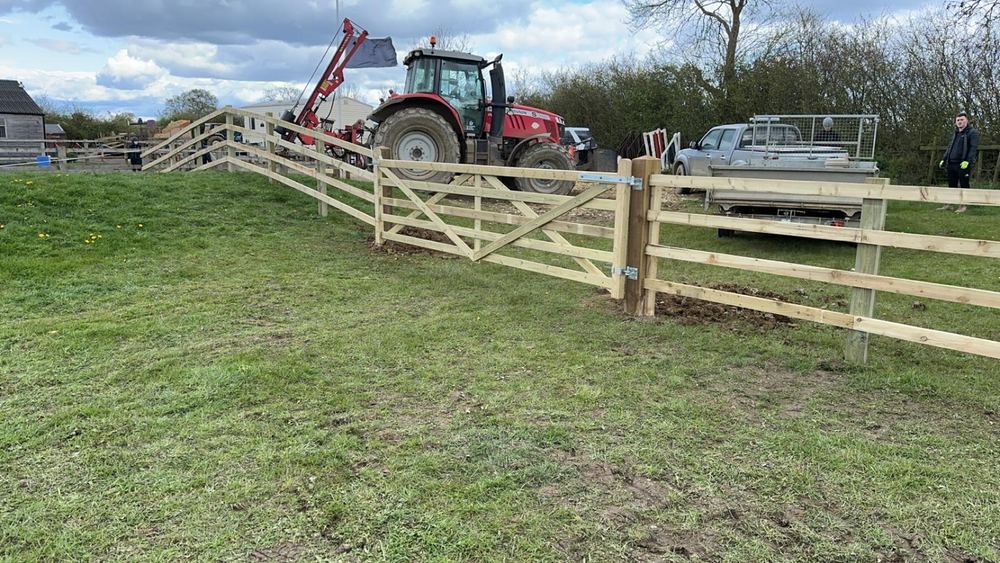 Timber field gate & estate fencing