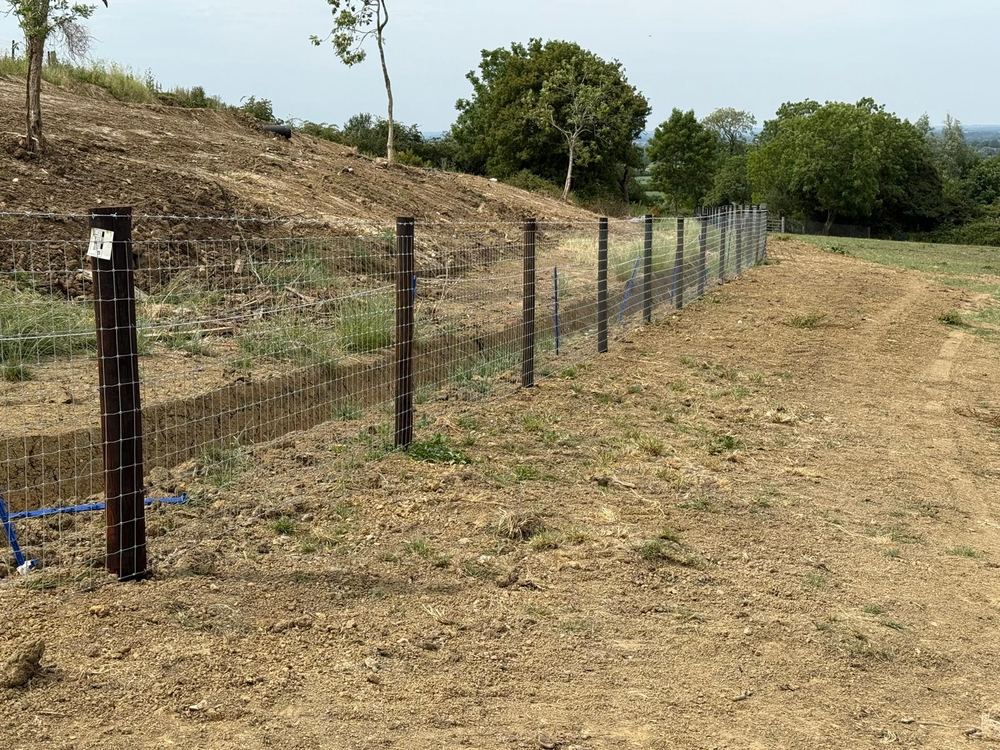 Stock fencing — new boundary