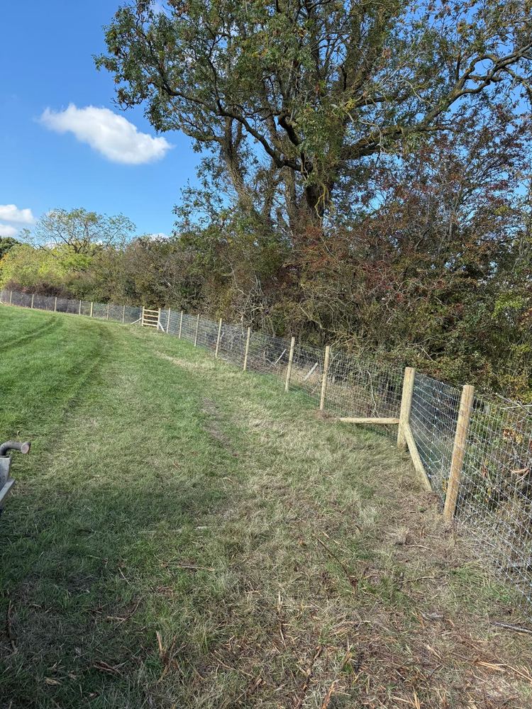 Stock fencing — field edge